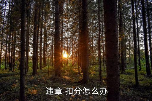 違章扣分,違章可直接刪除賬單上網查違章信息