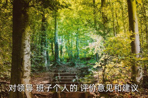 對班子的總體評價,新傳媒集團董事長林瑞蓮做客電視講話