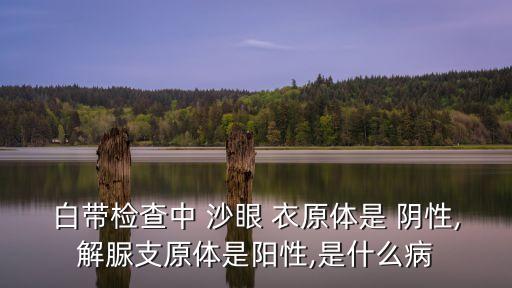 沙眼衣原體陰性,了解沙眼衣原體有利預防疾病發生