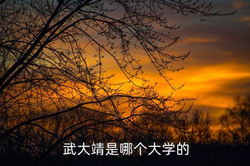 武大靖,我國羽毛球選手武大京首發(fā)能力超強內線霸氣