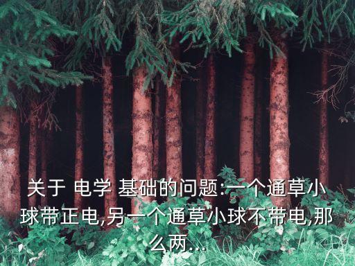 關于 電學 基礎的問題:一個通草小球帶正電,另一個通草小球不帶電,那么兩...