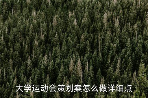 大學(xué)運(yùn)動會策劃案怎么做詳細(xì)點(diǎn)