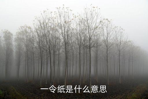 一什么紙,什么是紙張一令是1000張紙?