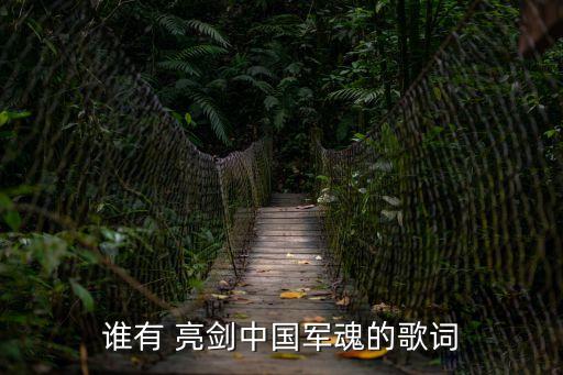 誰有 亮劍中國軍魂的歌詞