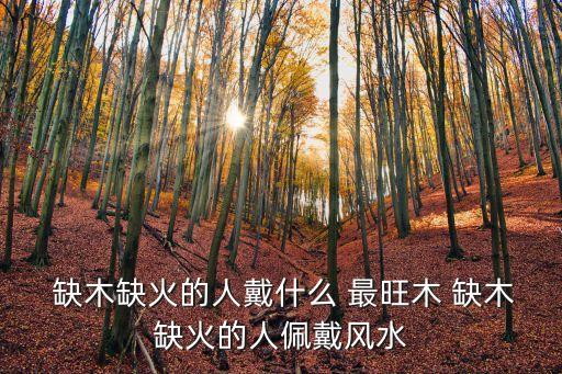 缺木的人戴什么最旺木,五行缺火最好佩戴紫檀比阿玉更美