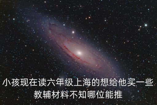 小孩現在讀六年級上海的想給他買一些教輔材料不知哪位能推
