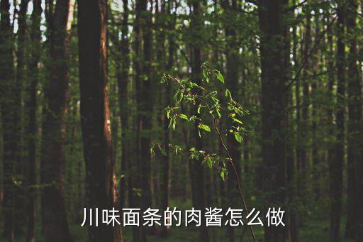 川味面條的肉醬怎么做