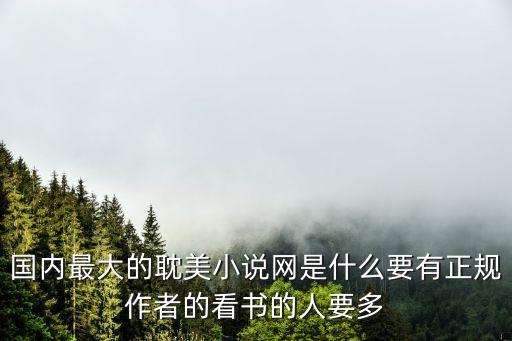 國內最大的耽美小說網是什么要有正規作者的看書的人要多