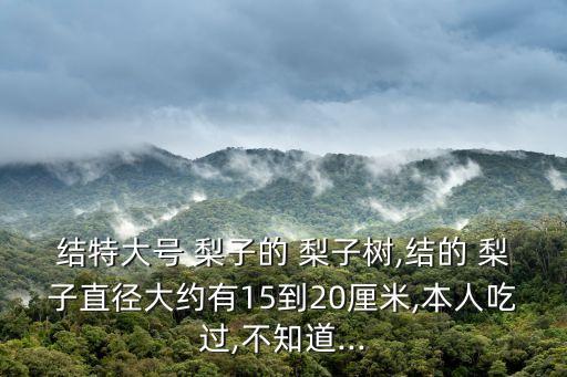 梨子圖片,梨花盛開武漢人吃梨大呼過癮!
