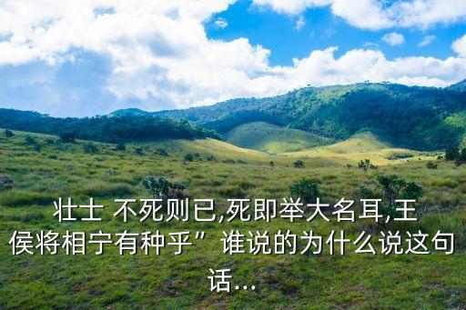  壯士 不死則已,死即舉大名耳,王侯將相寧有種乎”誰說的為什么說這句話...
