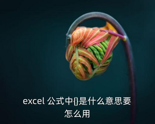 excel 公式中{}是什么意思要怎么用