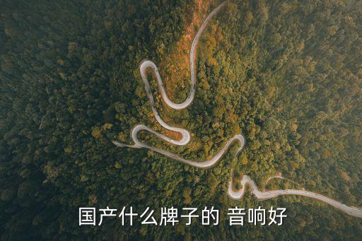 國(guó)產(chǎn)音響,多媒體音響使用高音炮和外置揚(yáng)聲器擴(kuò)展其音量范圍