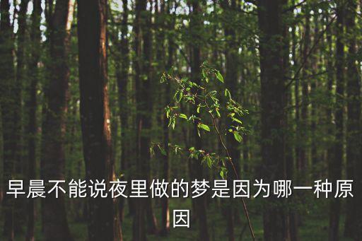 說夢,早上做的夢不能說出來否則噩夢難破譯