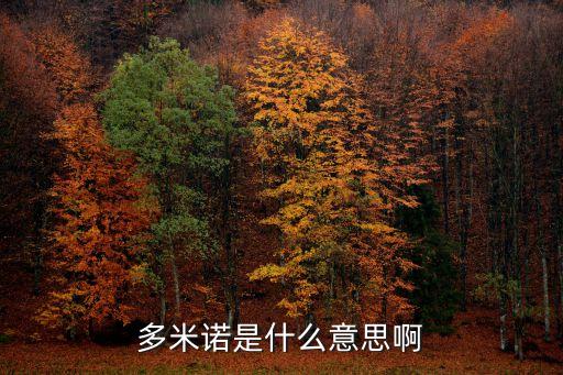 多米諾是什么意思，多米諾是什么意思啊