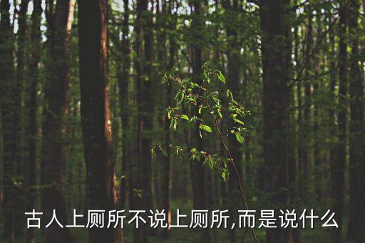 入廁,上廁所是進入的意思!