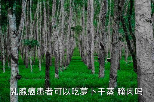 蒸腌肉,臘肉怎么做好吃?
