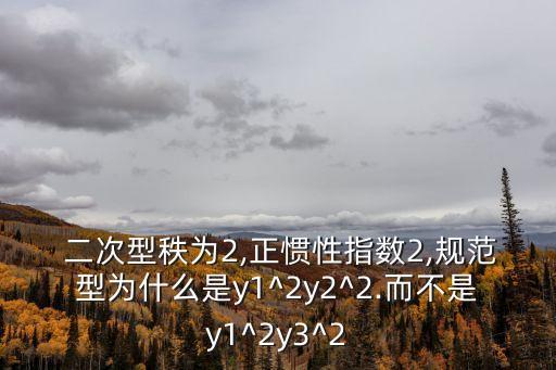 二次型的秩,矩陣秩為2行向和列向量秩為0