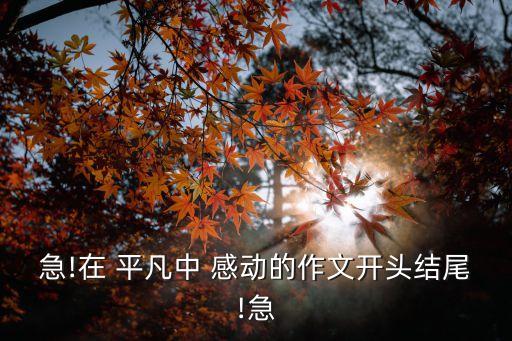急!在 平凡中 感動的作文開頭結尾!急