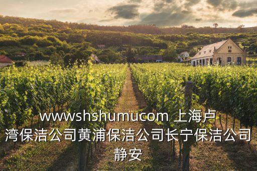 wwwshshumucom 上海盧灣保潔公司黃浦保潔公司長寧保潔公司靜安