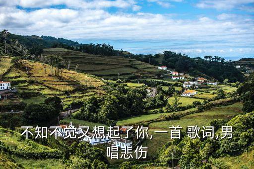 不知不覺又想起了你,一首 歌詞,男唱悲傷
