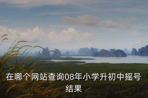 在哪個網站查詢08年小學升初中搖號結果