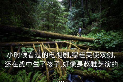 新孽海花,趙雅芝還有哪些經(jīng)典之作呢?