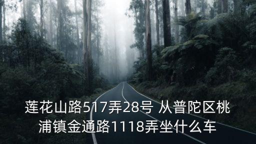 蓮花山路517弄28號 從普陀區(qū)桃浦鎮(zhèn)金通路1118弄坐什么車