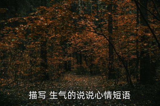 描寫(xiě) 生氣的說(shuō)說(shuō)心情短語(yǔ)