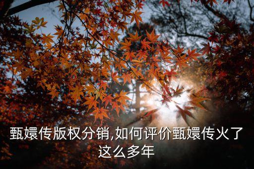 甄嬛傳版權分銷,如何評價甄嬛傳火了這么多年