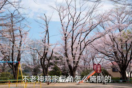 不老神,一瓶豆瓣菜已經腌制好了放入冰箱再腌制