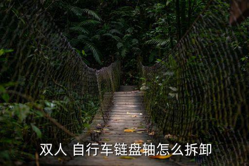  雙人 自行車鏈盤軸怎么拆卸