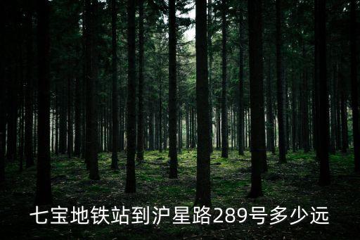 七寶地鐵站到滬星路289號多少遠