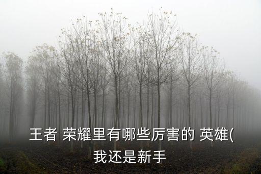 王者榮耀最強英雄,李白:逃跑能力最強雙膝跪地收割能力強