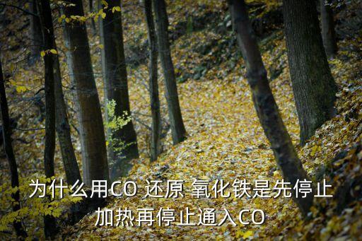 co還原氧化鐵,氧化鐵先通過一氧化碳再放入鐵粉須先冷卻下來