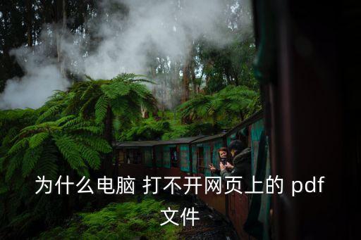 為什么電腦 打不開網(wǎng)頁上的 pdf文件