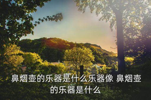 鼻煙壺是什么,中國明朝出現抽煙器鼻煙壺