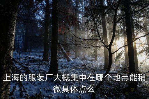 上海的服裝廠大概集中在哪個地帶能稍微具體點么