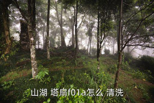 山湖 塔扇f01a怎么 清洗