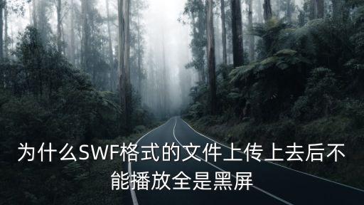 為什么SWF格式的文件上傳上去后不能播放全是黑屏