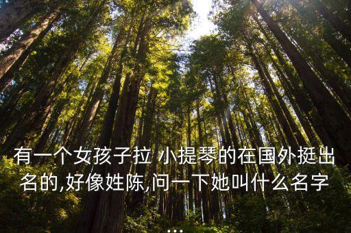 小提琴女孩,少年小提琴手陳美的人生簡歷
