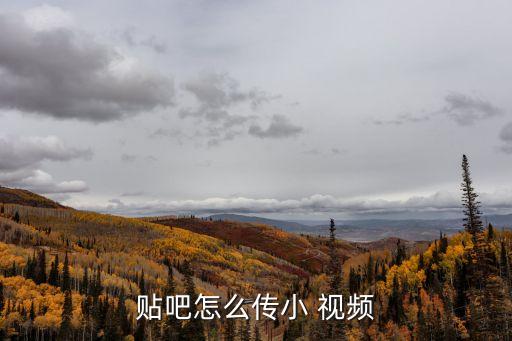 貼吧怎么發(fā)視頻,如何在百度貼吧發(fā)帖?