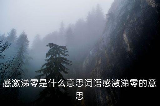 感激涕零是什么意思詞語感激涕零的意思