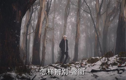 武警警銜,中國武裝警察部隊警銜制與解放軍軍銜相同