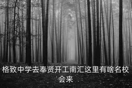 上海市格致中學奉賢分校，格致中學去奉賢開工南匯這里有啥名校會來