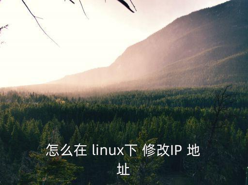 linux修改ip地址,網卡配置文件修改為r\r\刪除