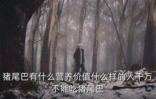 豬尾巴，什么是豬尾巴