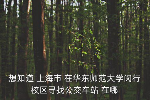 想知道 上海市 在華東師范大學(xué)閔行校區(qū)尋找公交車站 在哪