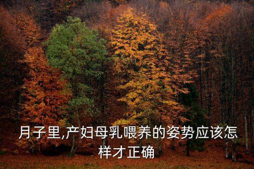  月子里,產(chǎn)婦母乳喂養(yǎng)的姿勢應(yīng)該怎樣才正確