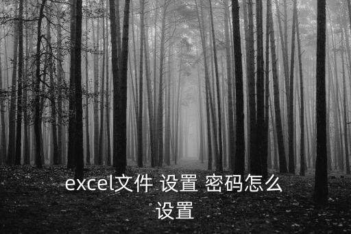  excel文件 設置 密碼怎么 設置