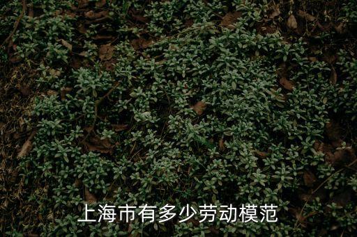 上海市勞動模范申請，幸福9號注冊地在上海嗎